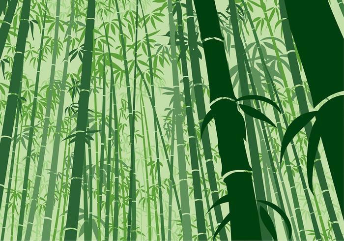 Calcetas con Hilo de Bambú